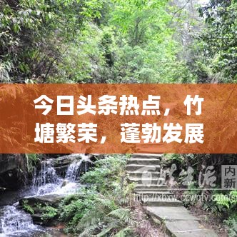 纲举目张 第2页