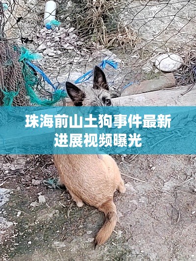 和为贵 第2页