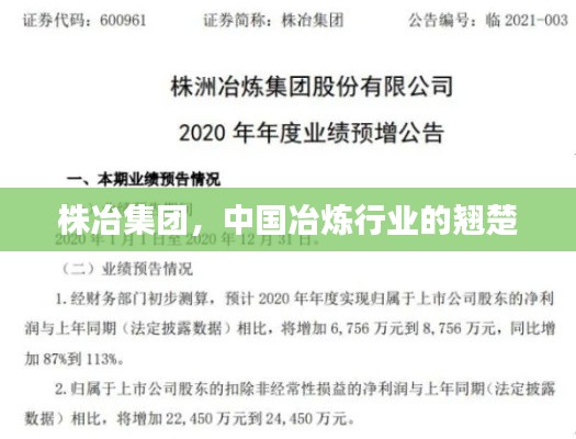 株冶集团，中国冶炼行业的翘楚