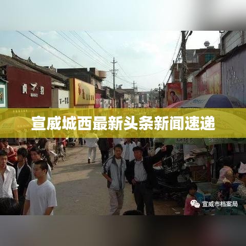 宣威城西最新头条新闻速递