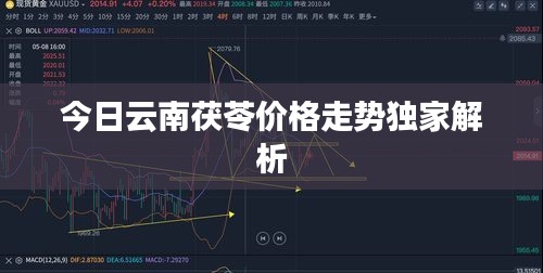 今日云南茯苓价格走势独家解析