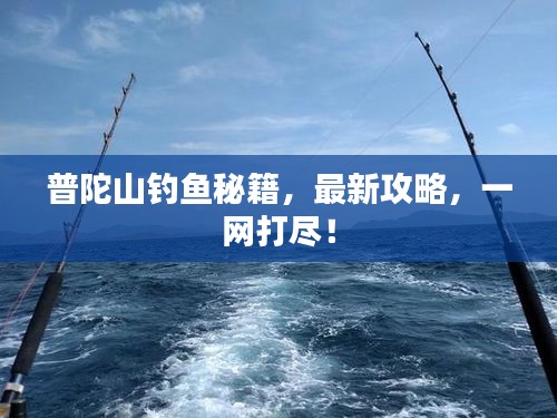 普陀山钓鱼秘籍，最新攻略，一网打尽！