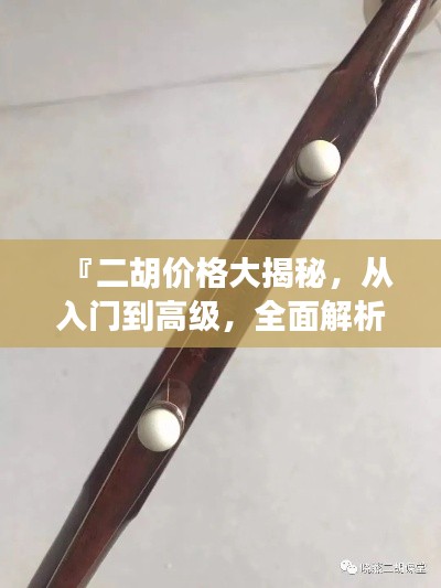 『二胡价格大揭秘，从入门到高级，全面解析二胡价格区间』