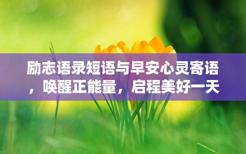 励志语录短语与早安心灵寄语，唤醒正能量，启程美好一天！