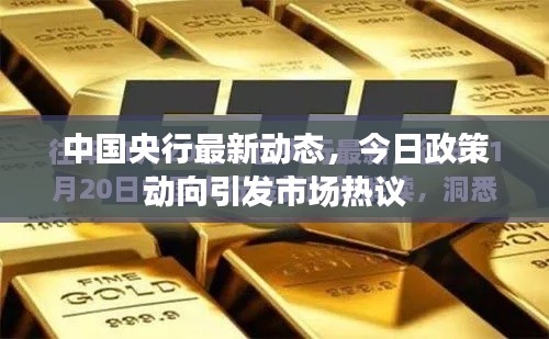 中国央行最新动态，今日政策动向引发市场热议