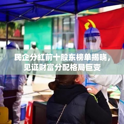 民企分红前十股东榜单揭晓，见证财富分配格局巨变