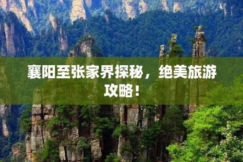 襄阳至张家界探秘，绝美旅游攻略！