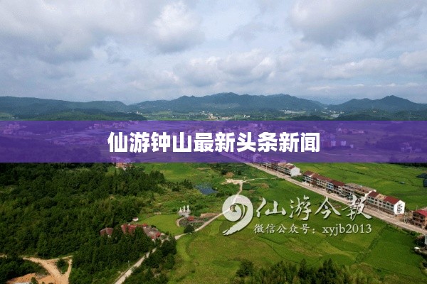 仙游钟山最新头条新闻