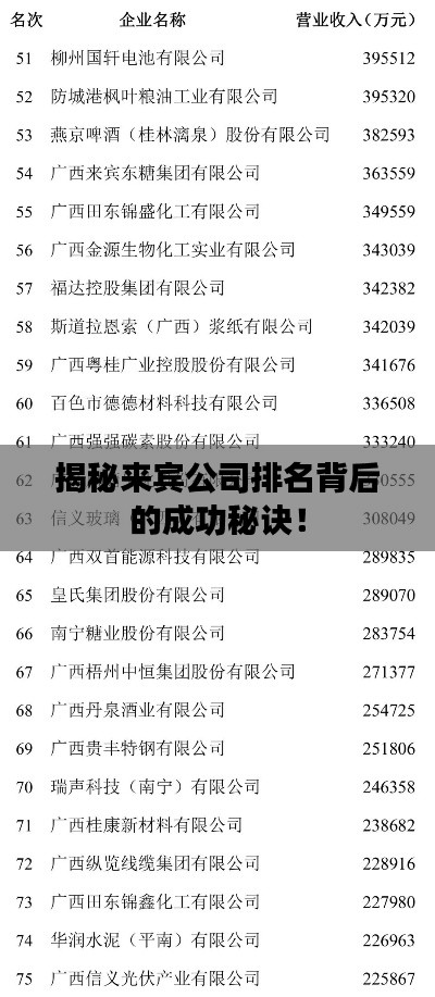揭秘来宾公司排名背后的成功秘诀！
