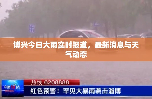 博兴今日大雨实时报道，最新消息与天气动态