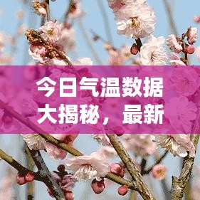 今日气温数据大揭秘，最新统计及影响分析