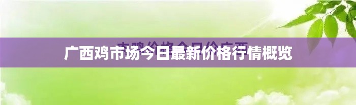 广西鸡市场今日最新价格行情概览