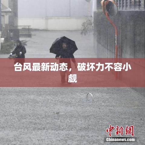 台风最新动态，破坏力不容小觑