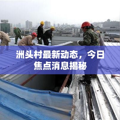 洲头村最新动态，今日焦点消息揭秘