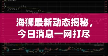 海狮最新动态揭秘，今日消息一网打尽！