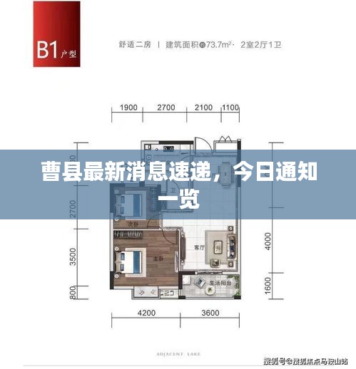 曹县最新消息速递，今日通知一览