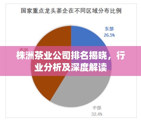 株洲茶业公司排名揭晓，行业分析及深度解读