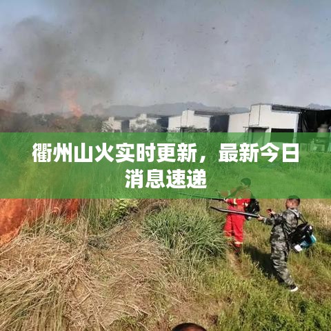 衢州山火实时更新，最新今日消息速递
