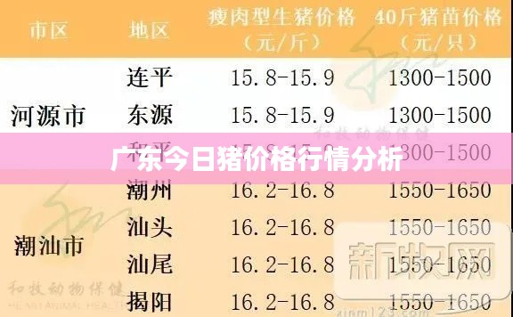 广东今日猪价格行情分析