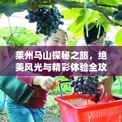 莱州马山探秘之旅，绝美风光与精彩体验全攻略！
