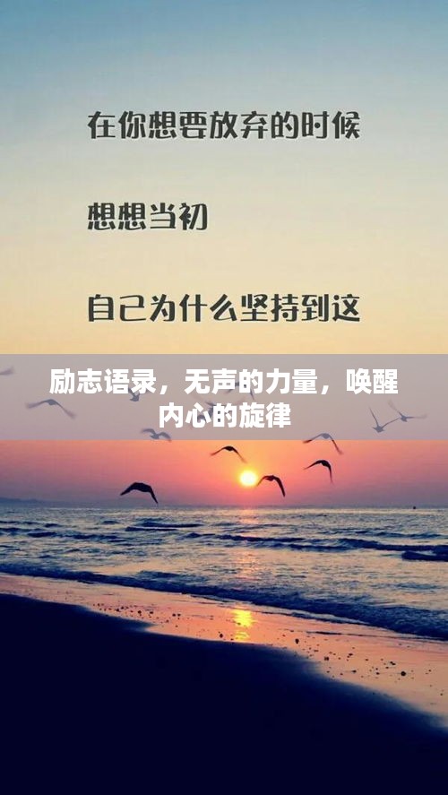 鸟之将死 第3页