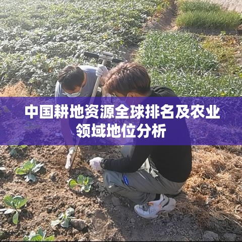 中国耕地资源全球排名及农业领域地位分析