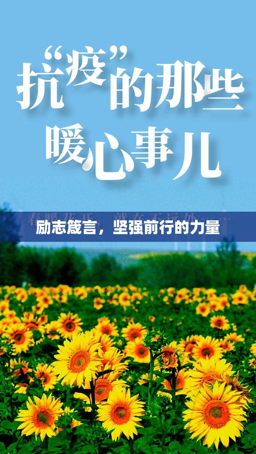 打张鸡儿 第2页