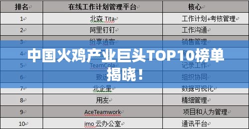 中国火鸡产业巨头TOP10榜单揭晓！