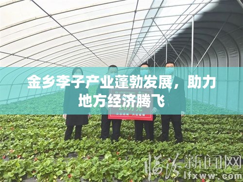 抛砖引玉 第2页