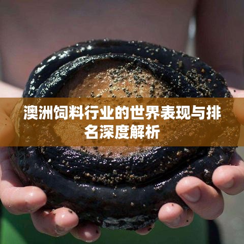 澳洲饲料行业的世界表现与排名深度解析