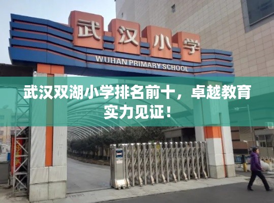 武汉双湖小学排名前十，卓越教育实力见证！
