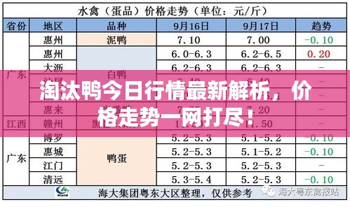 淘汰鸭今日行情最新解析，价格走势一网打尽！