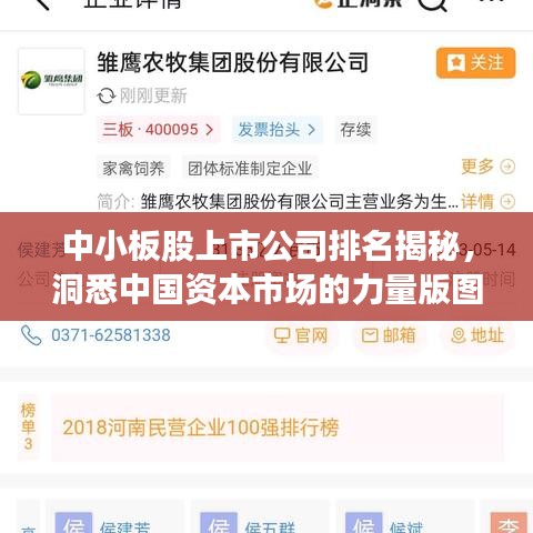 中小板股上市公司排名揭秘，洞悉中国资本市场的力量版图
