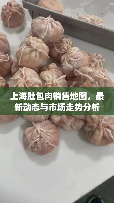 上海肚包肉销售地图，最新动态与市场走势分析