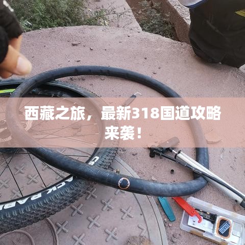 西藏之旅，最新318国道攻略来袭！