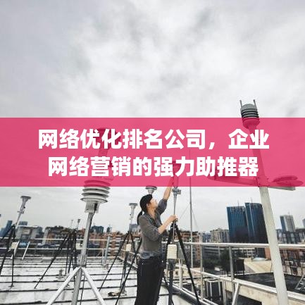 网络优化排名公司，企业网络营销的强力助推器
