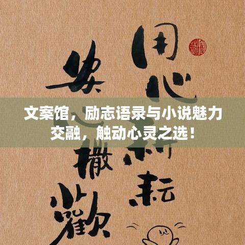 文案馆，励志语录与小说魅力交融，触动心灵之选！