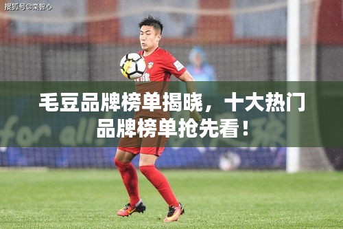 毛豆品牌榜单揭晓，十大热门品牌榜单抢先看！