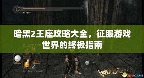 暗黑2王座攻略大全，征服游戏世界的终极指南