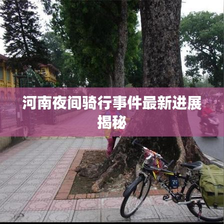 河南夜间骑行事件最新进展揭秘