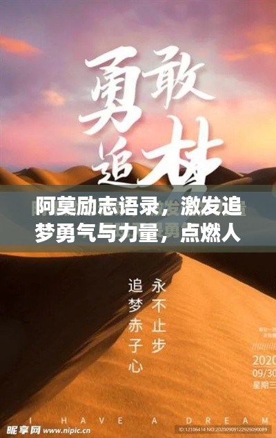 司空见惯 第2页