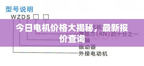 今日电机价格大揭秘，最新报价查询