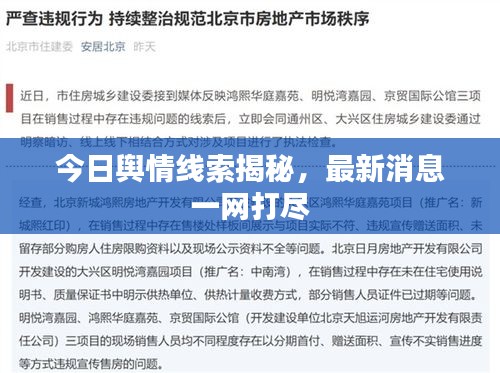 片口张舌 第2页