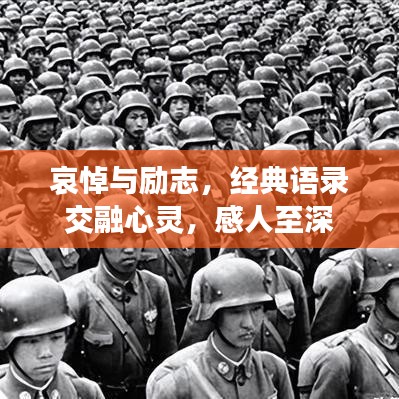 哀悼与励志，经典语录交融心灵，感人至深