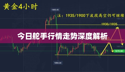 今日舵手行情走势深度解析