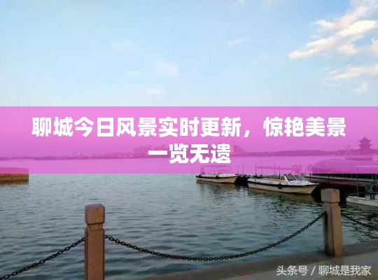 聊城今日风景实时更新，惊艳美景一览无遗