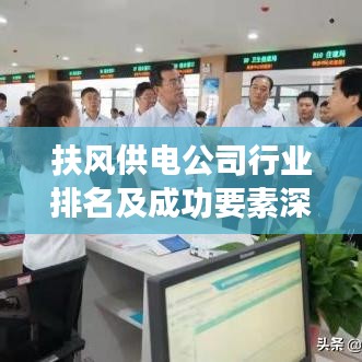 扶风供电公司行业排名及成功要素深度解析