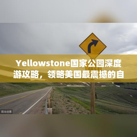 开张圣听 第2页