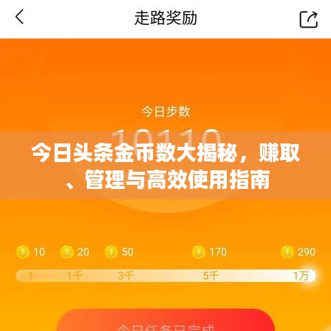 今日头条金币数大揭秘，赚取、管理与高效使用指南