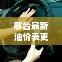 邢台最新油价表更新，动态趋势与影响因素解析